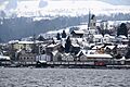 Wollerau - Zürichsee IMG 8368