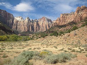 Zion Canyon Temples and Towers