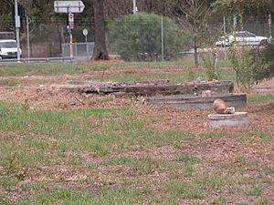 1866 - Blacktown Native Institution - Remains of a former structure, south-east corner of the Blacktown Native Institute Site (5051312b2).jpg