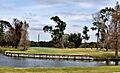 18th Green and Hole