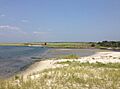 2013-08-21 12 34 24 Wetlands along Barnegat Bay near the southern end of Island Beach State Park, New Jersey