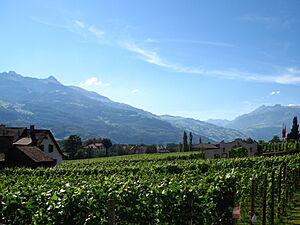 3156 - Vaduz - Hintergass vom Mitteldorf