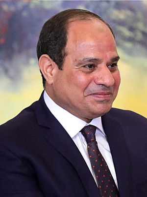 ABDEL FATTAH EL SISI FAST FACTS CNN visual data 2