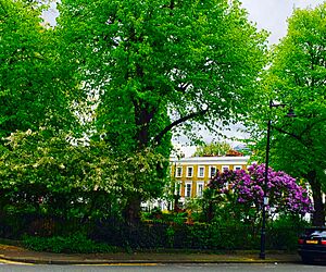 Arlington Square