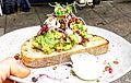 Avo toast melbourne (cropped)
