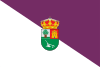 Flag of Valdenebro