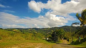 Hills in Padilla