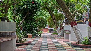 CVASU Garden 9