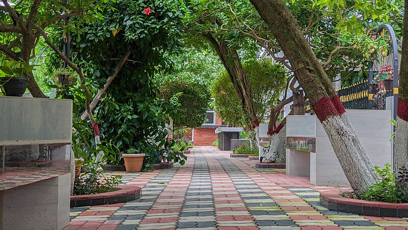 CVASU Garden 9