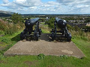 Cannons on Mote Hill (geograph 5950838).jpg