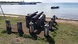Canon overlooking Brig Bay, Big Corn Island, Nicaragua