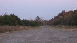 Carrier Mills Archaeological District