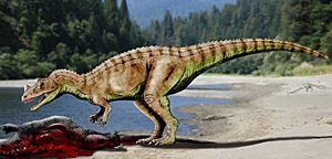 Ceratosaurus NT.jpg
