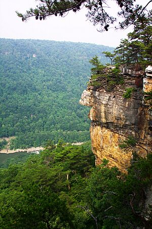 Cliff New River Gorge WV USA