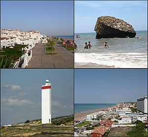 Top left:Gulf of Cadiz and Matalascañas Beach, view from Nutria area, Top right:Rock of Higuera (Torre de la Higuera), Bottom left:Matalascañas Lighthouse, Bottom right:View of Palmito area in Matalascañas Beach