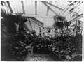 Conservatory in the White House LCCN93515765.jpg