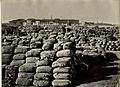 Cotton bales at the port in Bombay in the 1860s