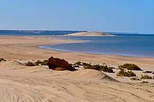 Désert de Dakhla (dunes blanches)