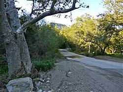 De Luz Road for Wikipedia.jpg