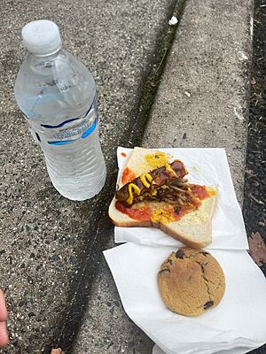 Democracy sausage (and coookie) at the Byron Shire Council Election