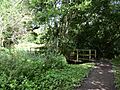 Donington and Albrighton Nature Reserve 03