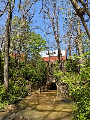 Dueling Creek MD & CSX train with containers