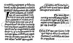 Extracts from Jordanus, Mirabilia descripta (14th century, detail)
