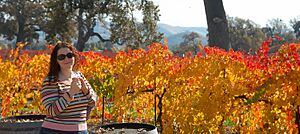 Fall colors, Templeton