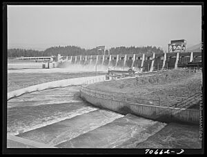 Fish ladders and Bonneville Dam, Oregon