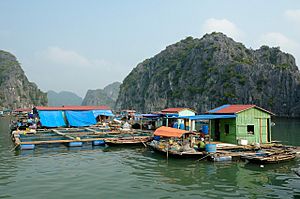FishingVillage HaLongBay Vietnam (pixinn.net)