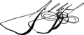 Francisco solano lopez signature