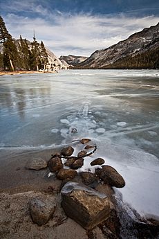 Frozen Tenaya Lake I (6618566719)
