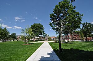 HolyokeMA HampdenPark View