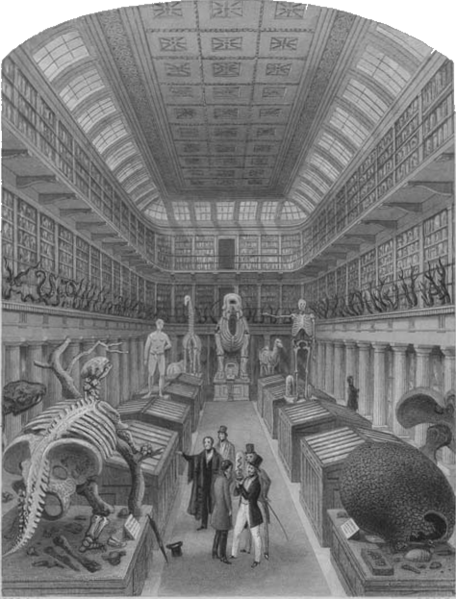 Hunterian Museum London 1842