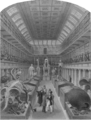Hunterian Museum London 1842