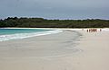 Hyams Beach 006