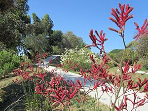 Jardi botanic de barcelona