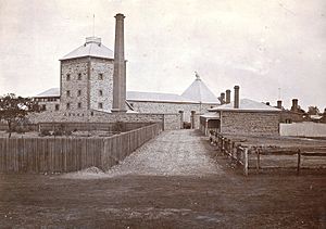 Kent Town Brewery c 1876