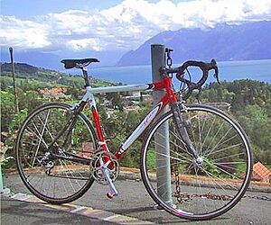Kusuma bike large