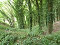 Little Blakenham Pit 3
