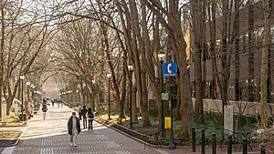 Locust Walk - UPenn (53589301557)