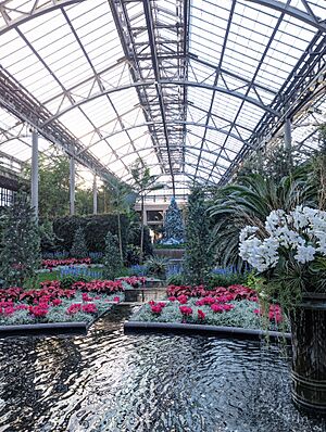 Longwood Gardens conservatory in November 2022