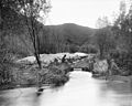 Los Angeles River at Griffith Park, ca.1898-1910 (CHS-2033)
