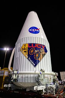 Lucy Rollout and Lift & Mate