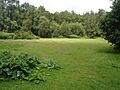 Mardley Heath Picnic Area - geograph.org.uk - 486680