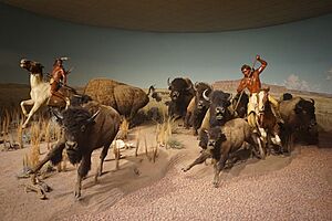 Milwaukee Public Museum March 2023 31 (North American Indians- A Tribute to Survival--Crow Indian Bison Hunt)