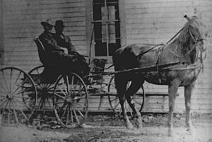 Minor-Hill-horse-carriage-1900-tn1