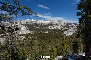 Mount Hoffman and Tuolumne Peak, area of Tuolumne Meadows, Yosemite.jpg