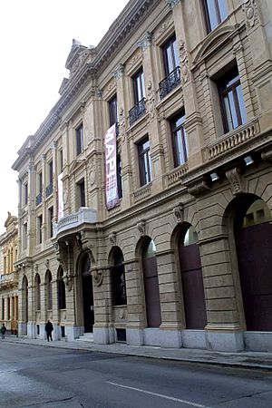 Museo de Arte Precolombino e Indígena.jpg