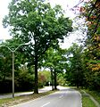Neoponset Valley Parkway MA 02